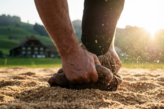Sehnige Hand greift fest die Zwilchhose im Sägemehlring. Das warme Licht symbolisiert den Saisonstart des Lichtmess-Schwinget Gais.