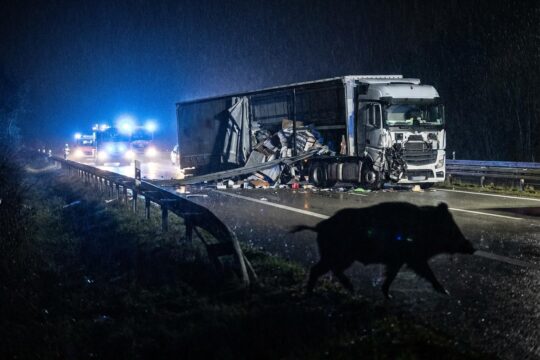 Nachtszene eines LKW Unfall A3 Wildschwein: Ein stark beschädigter Laster blockiert die Fahrbahn, Leitplanke zerstört, Wildschwein flieht.